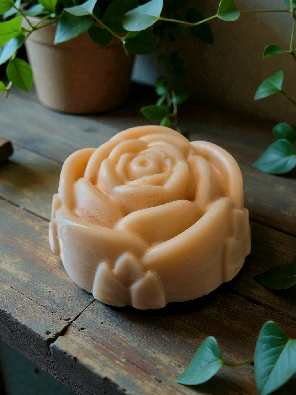 Wild Rose Body Lotion Bar