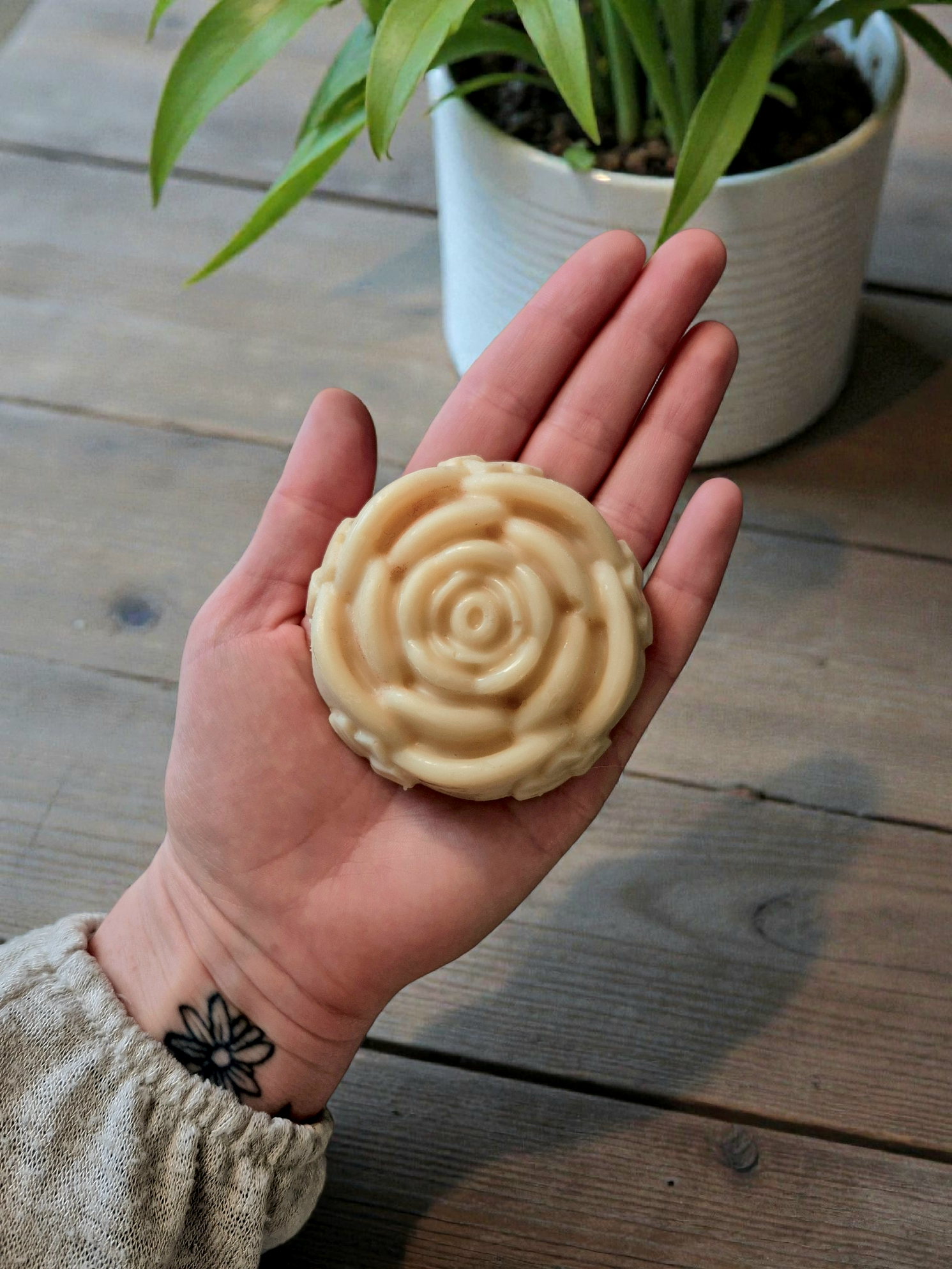Wild Rose Body Lotion Bar