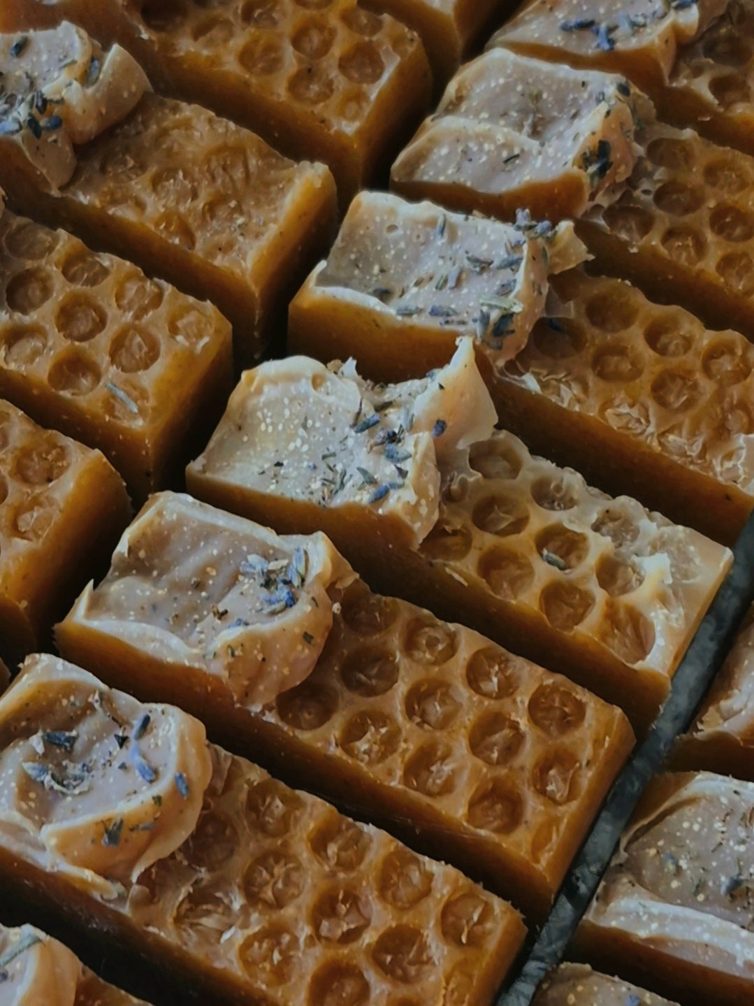 Soap Bundle: 12 Bars