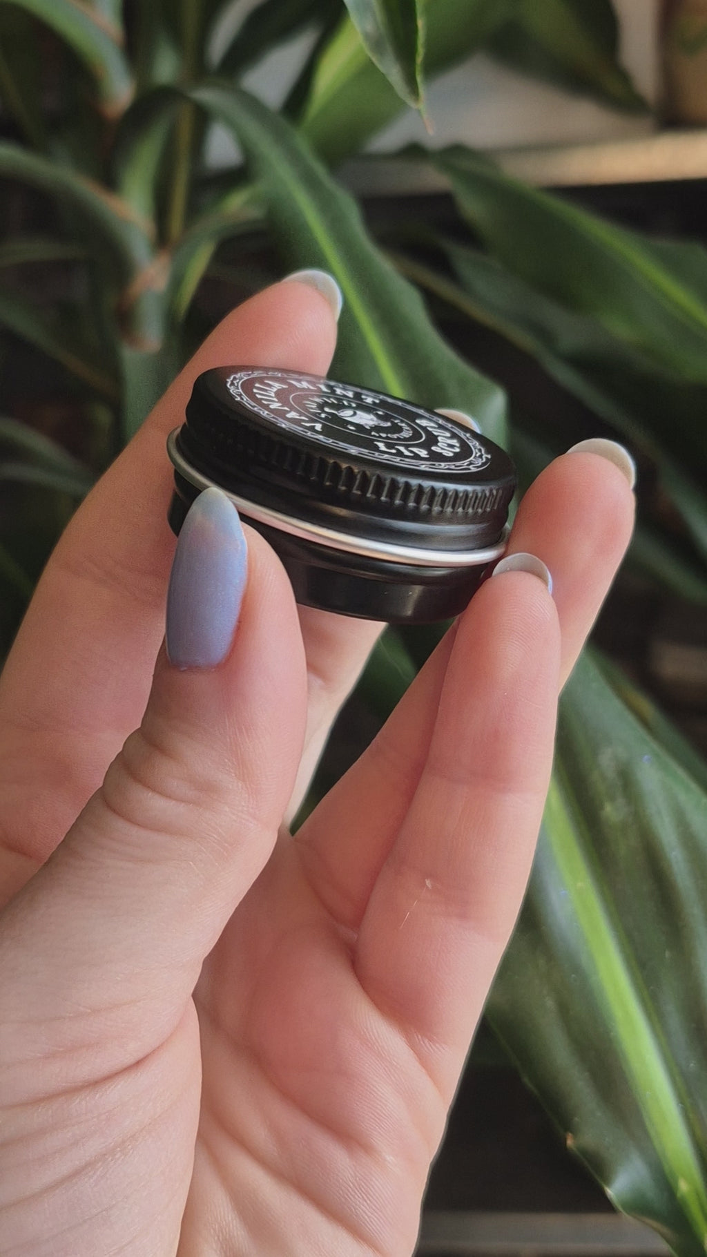 Vanilla Mint Lip Scrub