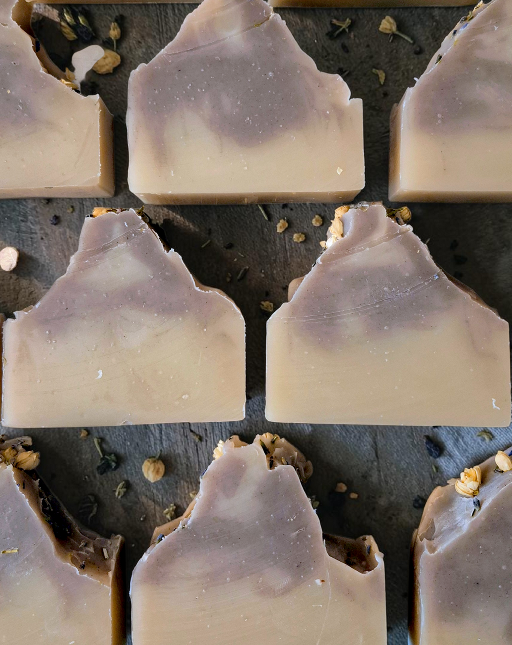 Dreamland (lavender, vanilla & ylang ylang)