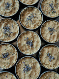 Lavender & Rosemary Herbal Body Scrub