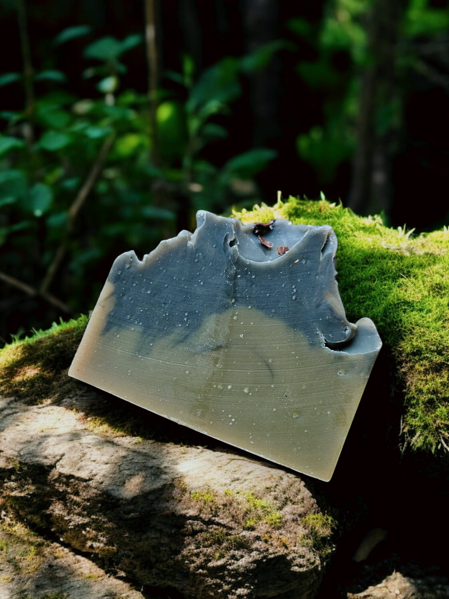 Dark Woods Soap Bar